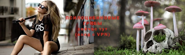 кокс Вяземский