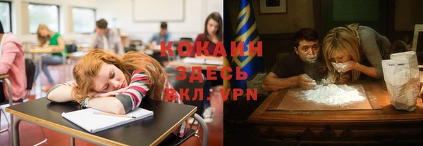 гидра Вязьма