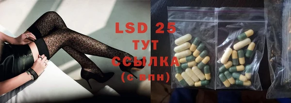 гидра Вязьма