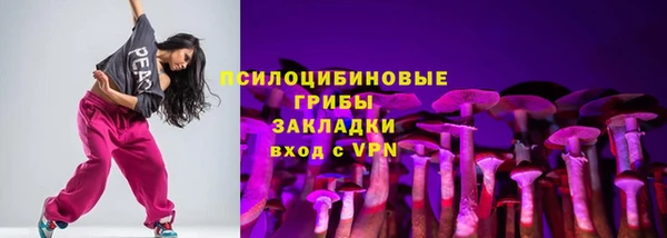 гидра Вязьма