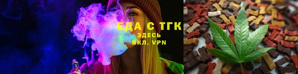 гидра Вязьма