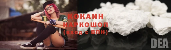 гидра Вязьма
