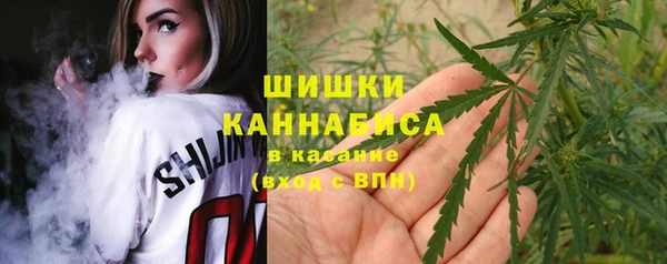 гидра Вязьма