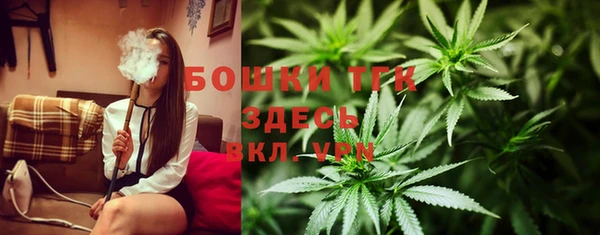 гидра Вязьма