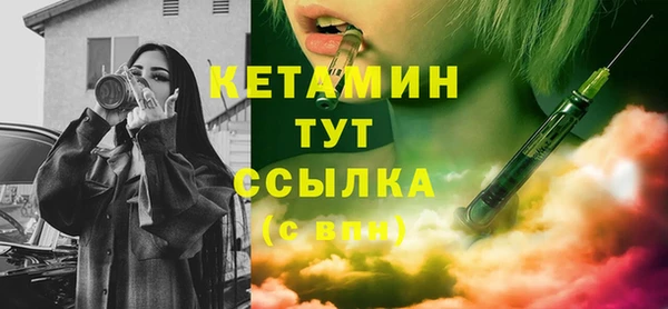 гидра Вязьма